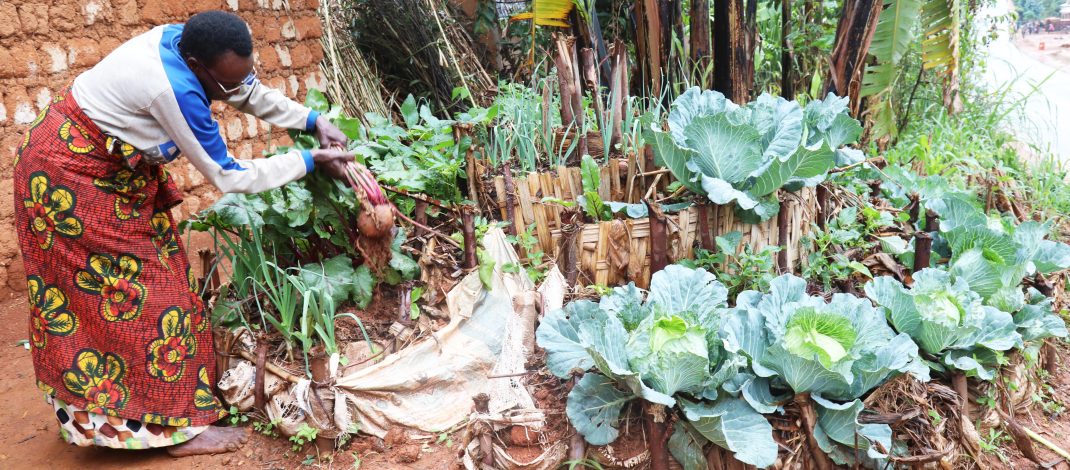 BRANCHE DE MURAMVYA : PLUS DE 1300 MENAGES MODELES CERTIFIES !